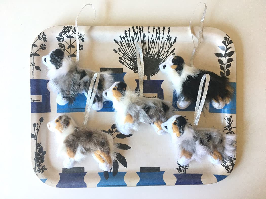 Australian Shepherd Collection