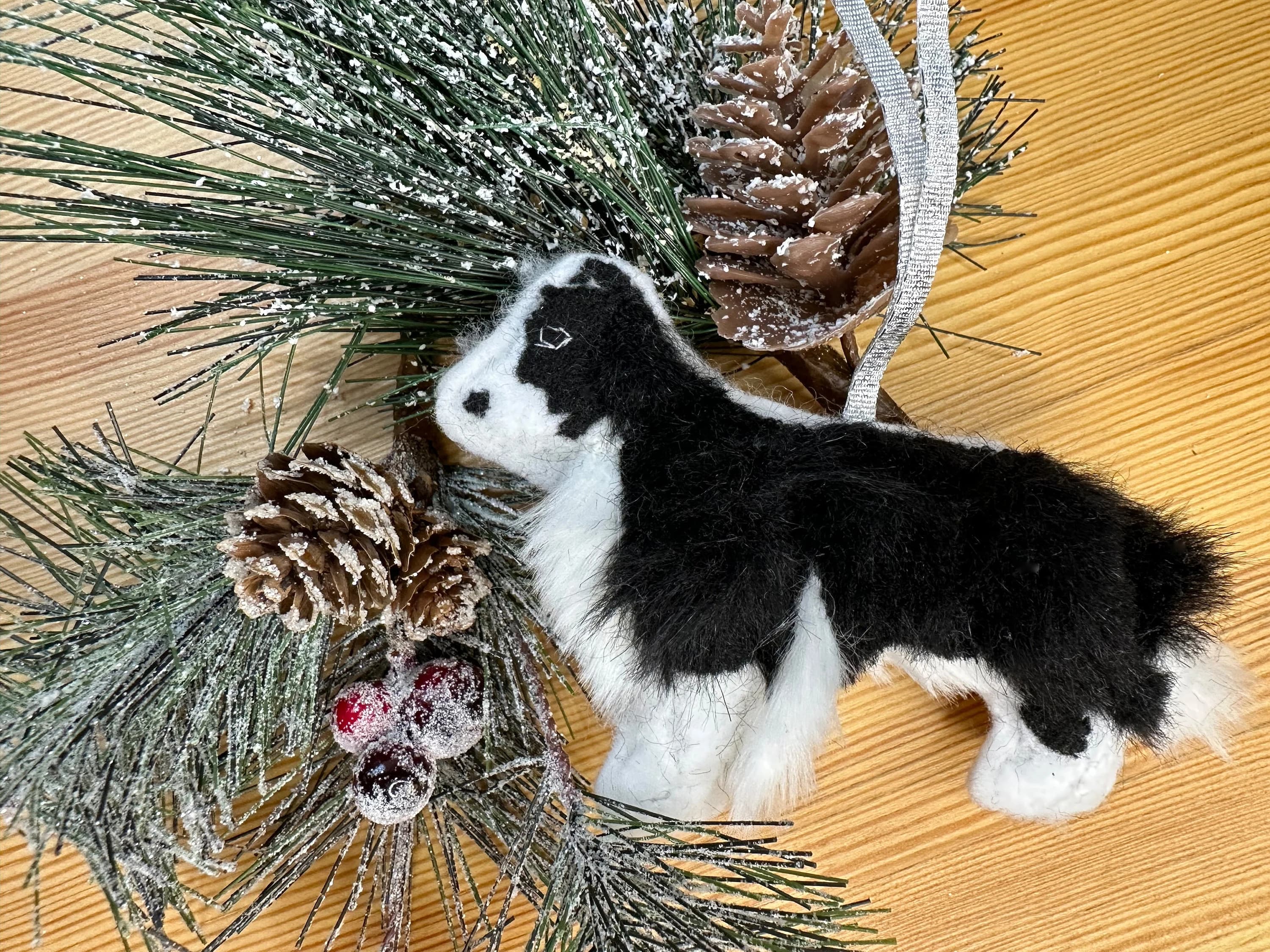 Border Collie