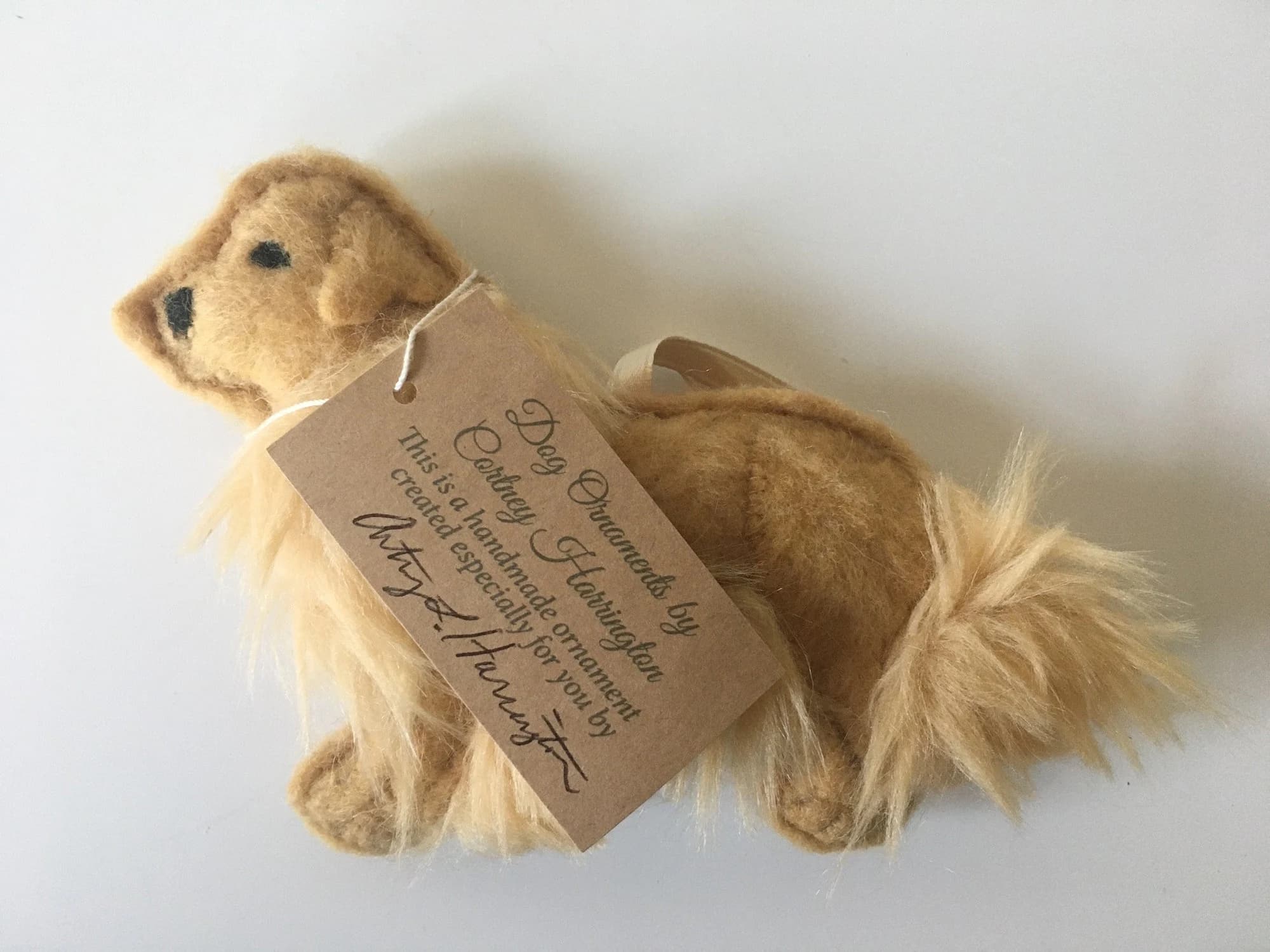 Golden Retriever with signed hang tag around the neck
